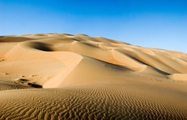 Dubai Desert