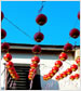 Festivals and Events